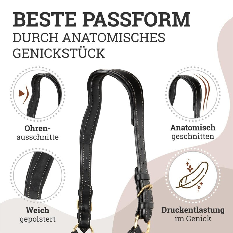 Lederhalfter "Deluxe" anatomisch Schwarz