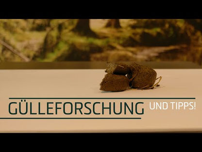 Excellent Horse Herbs Spitzwegerich-Saat