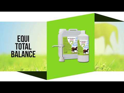 Excellent Horse Total Balance