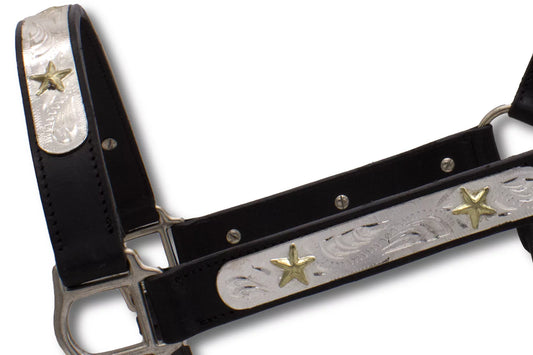 Show Lederhalfter mit Führkette, schwarzes Leder, goldfarbene Sterne,