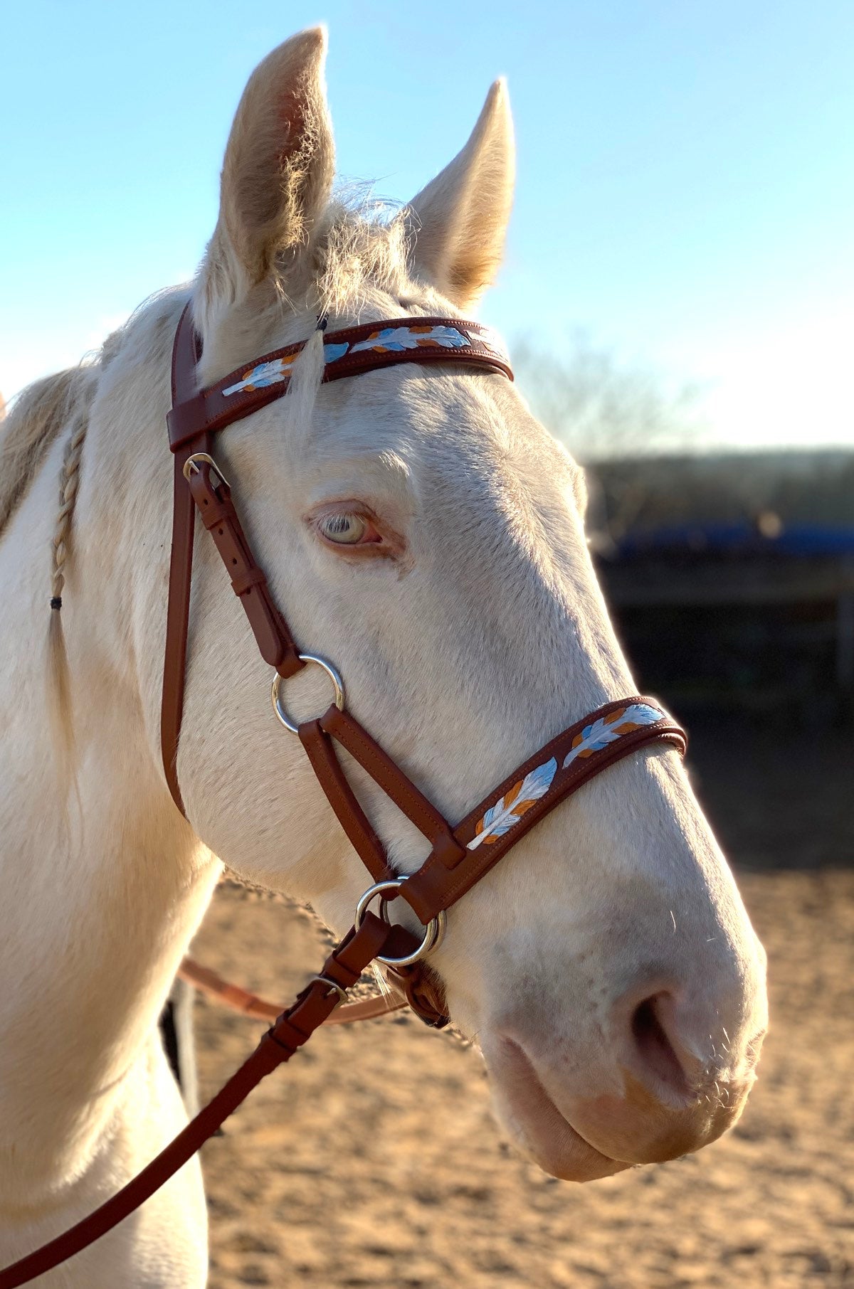 Sidepull super soft, anatomisch, braun, mit Federdesign, gebissloses reiten,