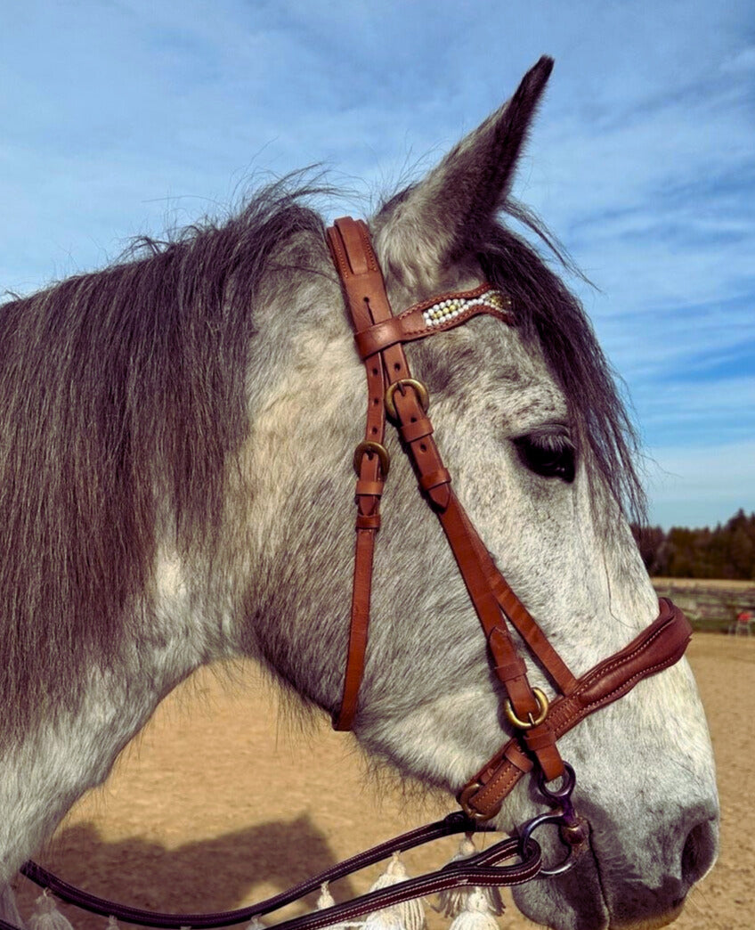 Englisches Reithalfter, sehr weich unterlegte Englischtrense in barockem Stil,