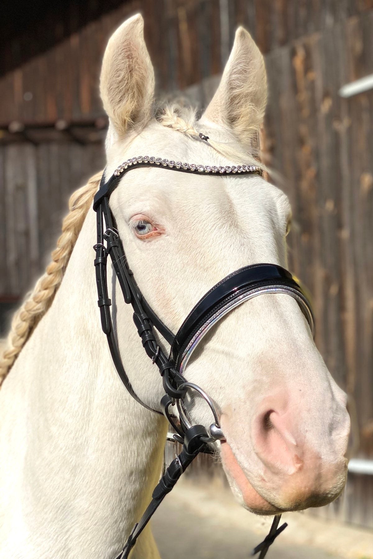 Schwedischer Trensenzaum, schwarz, glitzer, inklusive Zügel mit Grip, Reithalfter ohne Sperriemen,