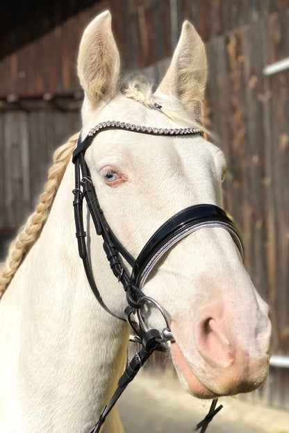 Schwedischer Trensenzaum, schwarz, glitzer, inklusive Zügel mit Grip, Reithalfter ohne Sperriemen,